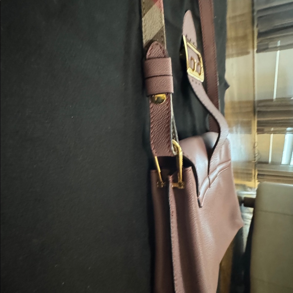 Burberry Dusty Pink Leather Crossbody Bag Gold Hardware - Picture 7 of 15